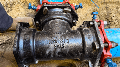 Palm Springs Surf Club, Palm Springs Photo